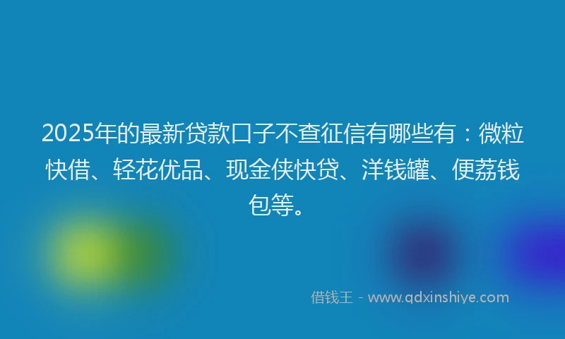 2025年的最新贷款口子不查征信有哪些有：微粒快借、轻花优品、现金侠快贷、洋钱罐、便荔钱包等。