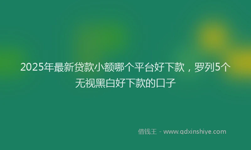 2025年最新贷款小额哪个平台好下款，罗列5个无视黑白好下款的口子