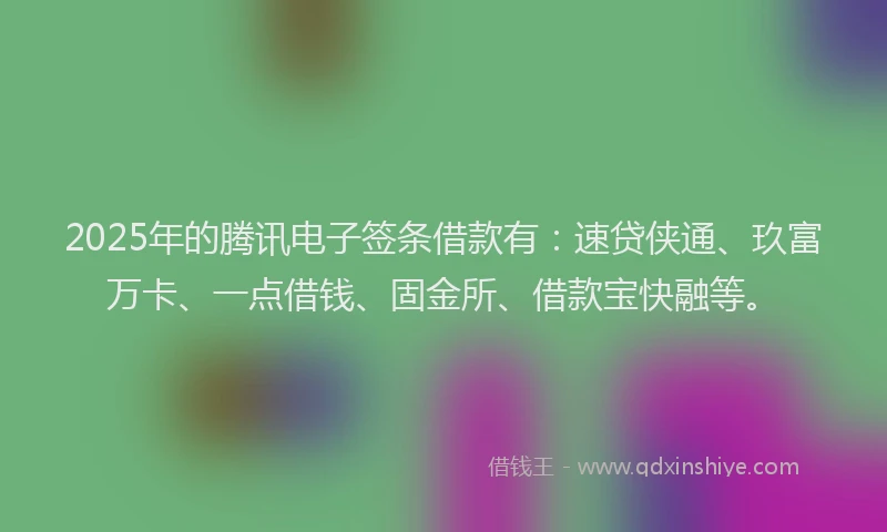 2025年的腾讯电子签条借款有：速贷侠通、玖富万卡、一点借钱、固金所、借款宝快融等。