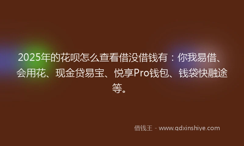 2025年的花呗怎么查看借没借钱有：你我易借、会用花、现金贷易宝、悦享Pro钱包、钱袋快融途等。