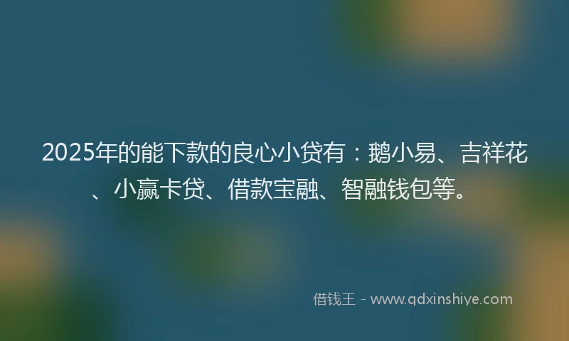 2025年的能下款的良心小贷有：鹅小易、吉祥花、小赢卡贷、借款宝融、智融钱包等。