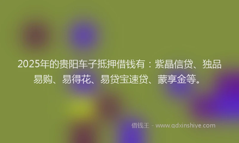 2025年的贵阳车子抵押借钱有：紫晶信贷、独品易购、易得花、易贷宝速贷、蒙享金等。