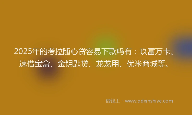 2025年的考拉随心贷容易下款吗有:玖富万卡、速借宝盒、金钥匙贷、龙龙用、优米商城等。