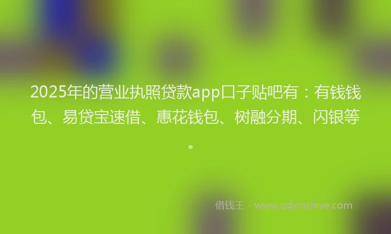 2025年的营业执照贷款app口子贴吧有：有钱钱包、易贷宝速借、惠花钱包、树融分期、闪银等。