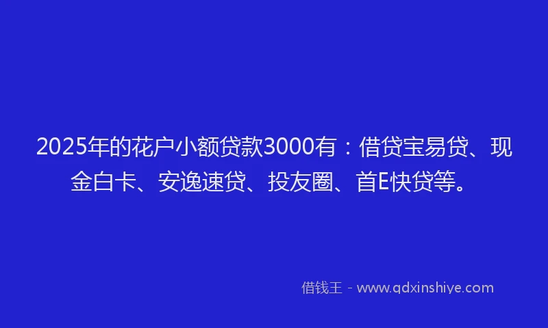 2025年的花户小额贷款3000有：借贷宝易贷、现金白卡、安逸速贷、投友圈、首E快贷等。