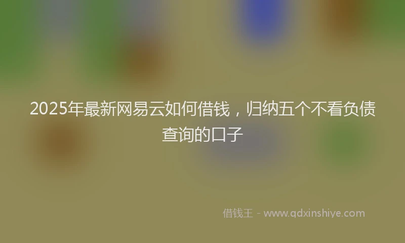 2025年最新网易云如何借钱，归纳五个不看负债查询的口子