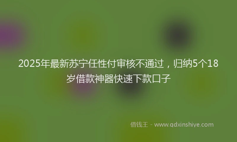 2025年最新苏宁任性付审核不通过，归纳5个18岁借款神器快速下款口子