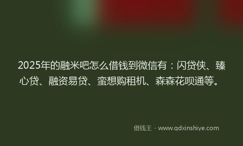 2025年的融米吧怎么借钱到微信有：闪贷侠、臻心贷、融资易贷、蛮想购租机、森森花呗通等。