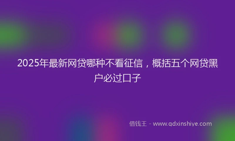 2025年最新网贷哪种不看征信，概括五个网贷黑户必过口子