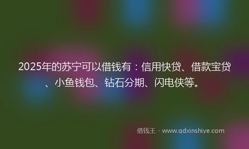 2025年的苏宁可以借钱有：信用快贷、借款宝贷、小鱼钱包、钻石分期、闪电侠等。