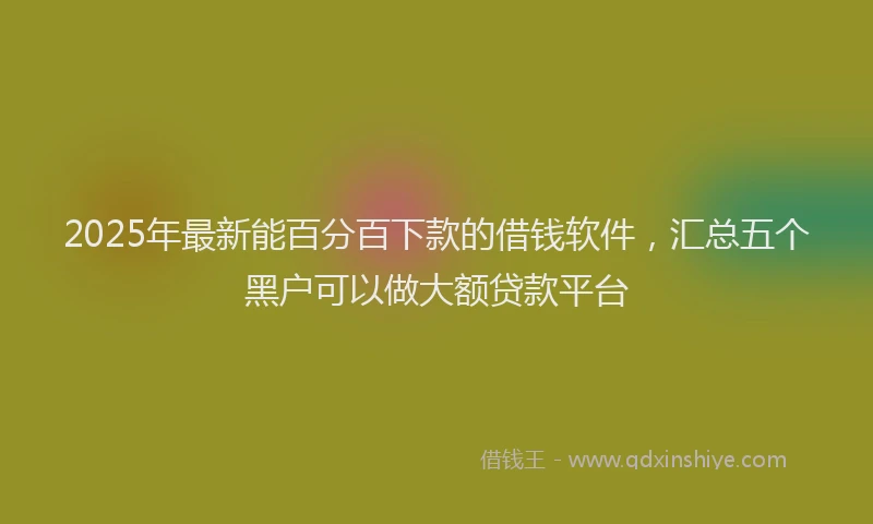 2025年最新能百分百下款的借钱软件，汇总五个黑户可以做大额贷款平台