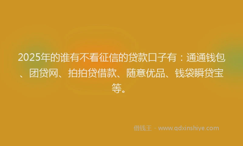 2025年的谁有不看征信的贷款口子有：通通钱包、团贷网、拍拍贷借款、随意优品、钱袋瞬贷宝等。