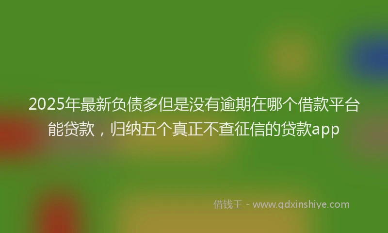 2025年最新负债多但是没有逾期在哪个借款平台能贷款，归纳五个真正不查征信的贷款app