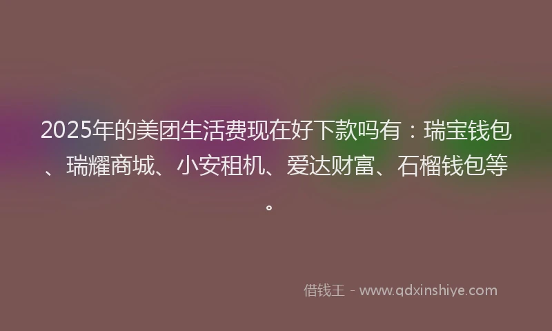 2025年的美团生活费现在好下款吗有：瑞宝钱包、瑞耀商城、小安租机、爱达财富、石榴钱包等。