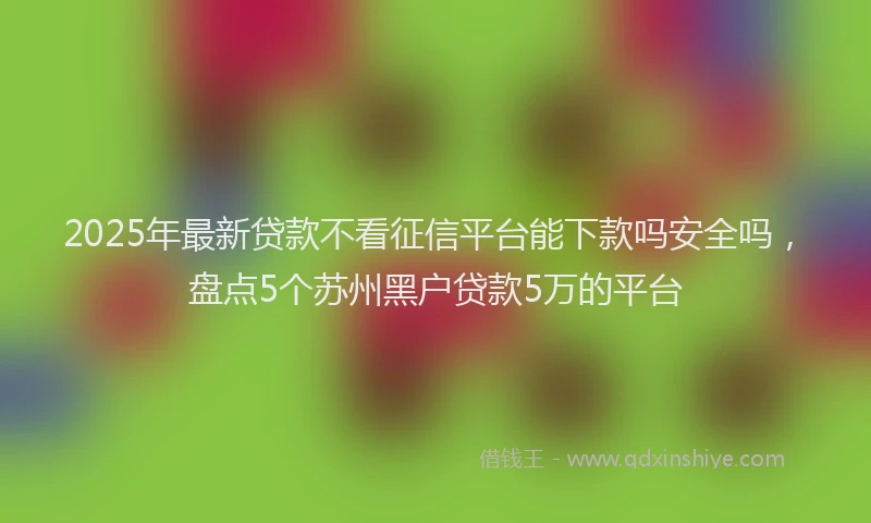 2025年最新贷款不看征信平台能下款吗安全吗，盘点5个苏州黑户贷款5万的平台