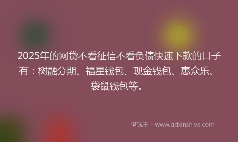 2025年的网贷不看征信不看负债快速下款的口子有：树融分期、福星钱包、现金钱包、惠众乐、袋鼠钱包等。