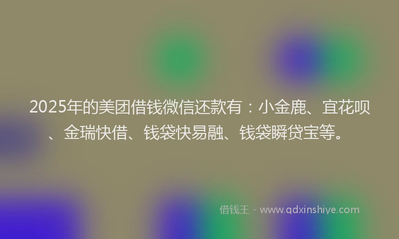 2025年的美团借钱微信还款有：小金鹿、宜花呗、金瑞快借、钱袋快易融、钱袋瞬贷宝等。
