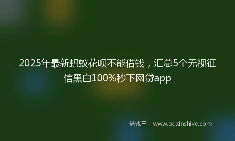 2025年最新蚂蚁花呗不能借钱，汇总5个无视征信黑白100%秒下网贷app