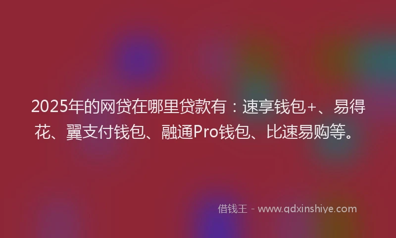 2025年的网贷在哪里贷款有：速享钱包+、易得花、翼支付钱包、融通Pro钱包、比速易购等。