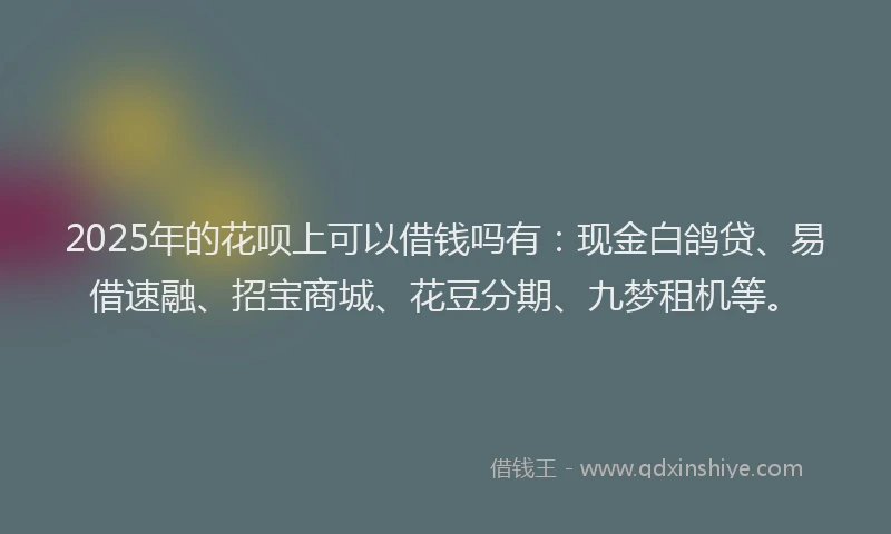 2025年的花呗上可以借钱吗有：现金白鸽贷、易借速融、招宝商城、花豆分期、九梦租机等。