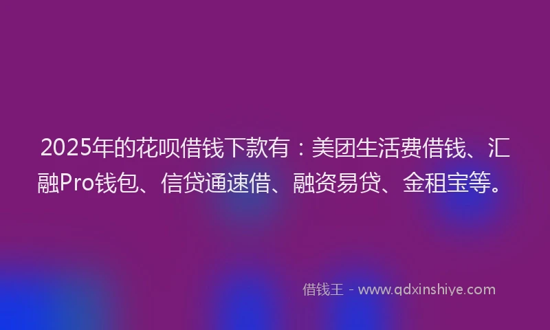 2025年的花呗借钱下款有：美团生活费借钱、汇融Pro钱包、信贷通速借、融资易贷、金租宝等。