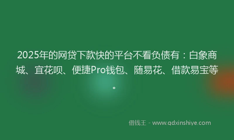 2025年的网贷下款快的平台不看负债有：白象商城、宜花呗、便捷Pro钱包、随易花、借款易宝等。