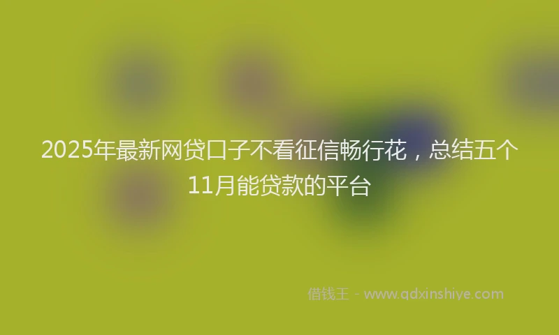 2025年最新网贷口子不看征信畅行花，总结五个11月能贷款的平台