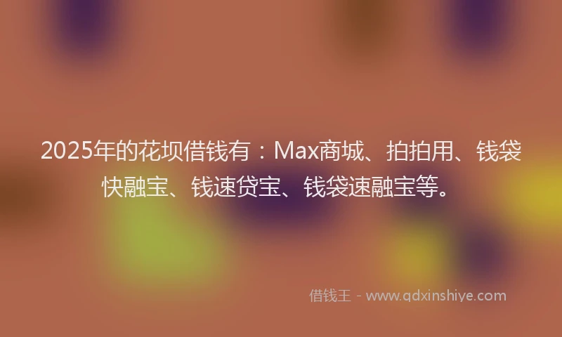 2025年的花坝借钱有：Max商城、拍拍用、钱袋快融宝、钱速贷宝、钱袋速融宝等。
