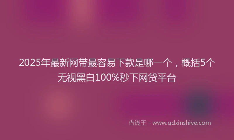 2025年最新网带最容易下款是哪一个，概括5个无视黑白100%秒下网贷平台