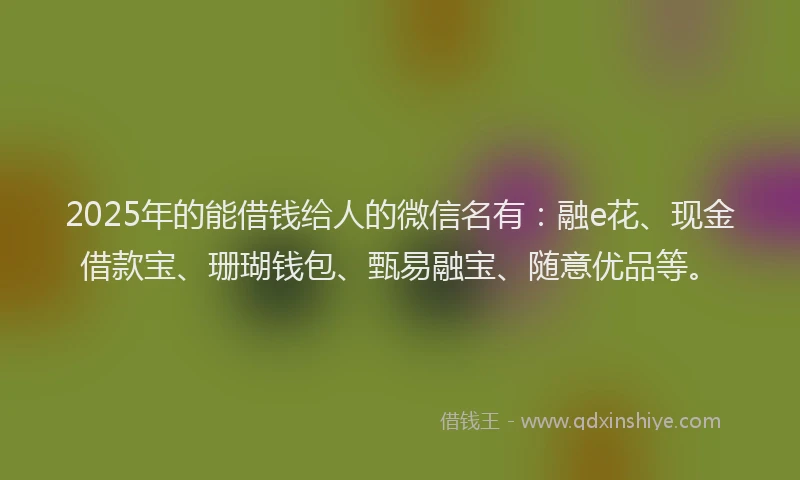 2025年的能借钱给人的微信名有：融e花、现金借款宝、珊瑚钱包、甄易融宝、随意优品等。