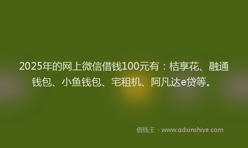 2025年的网上微信借钱100元有：桔享花、融通钱包、小鱼钱包、宅租机、阿凡达e贷等。
