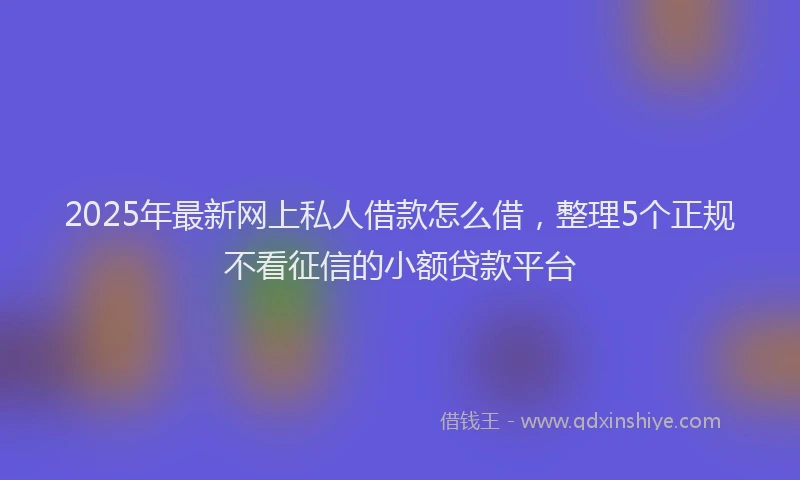 2025年最新网上私人借款怎么借，整理5个正规不看征信的小额贷款平台