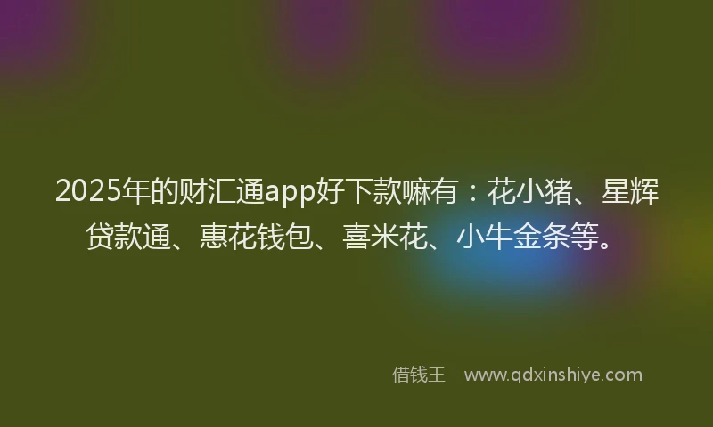2025年的财汇通app好下款嘛有:花小猪、星辉贷款通、惠花钱包、喜米花、小牛金条等。