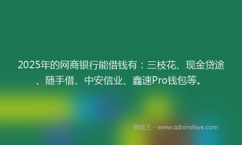 2025年的网商银行能借钱有：三枝花、现金贷途、随手借、中安信业、鑫速Pro钱包等。