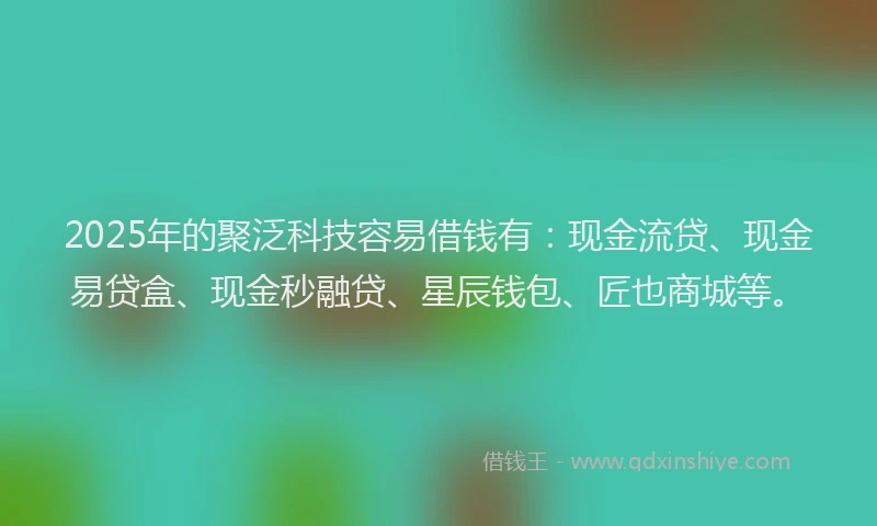 2025年的聚泛科技容易借钱有：现金流贷、现金易贷盒、现金秒融贷、星辰钱包、匠也商城等。