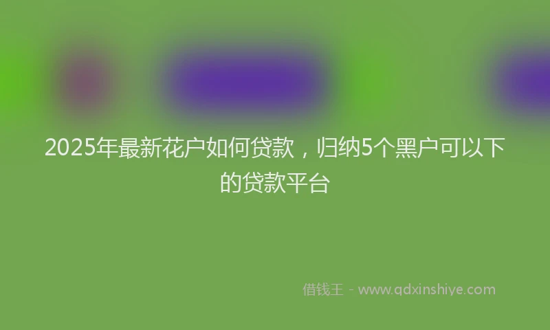 2025年最新花户如何贷款，归纳5个黑户可以下的贷款平台