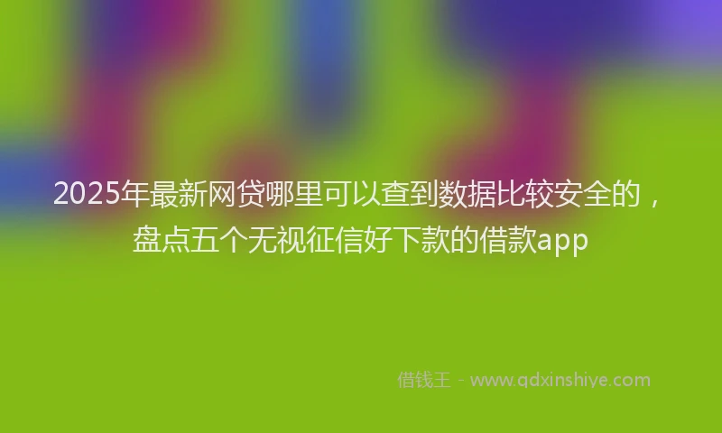 2025年最新网贷哪里可以查到数据比较安全的，盘点五个无视征信好下款的借款app