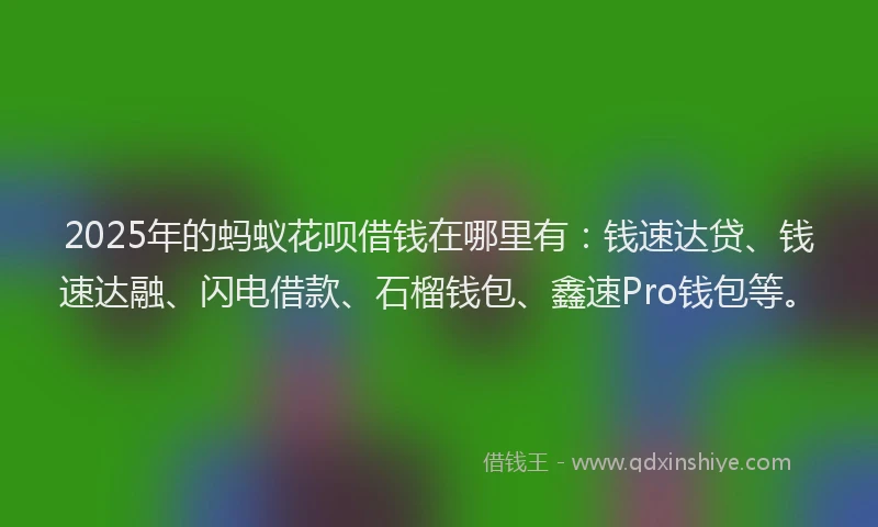 2025年的蚂蚁花呗借钱在哪里有：钱速达贷、钱速达融、闪电借款、石榴钱包、鑫速Pro钱包等。