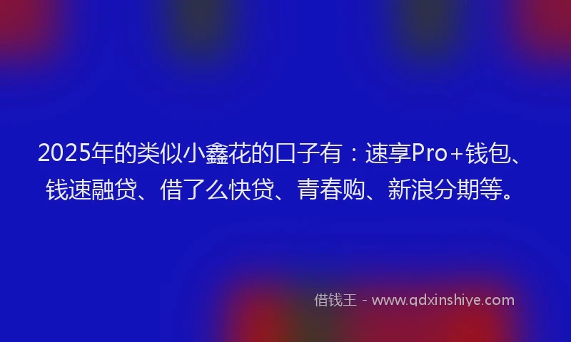 2025年的类似小鑫花的口子有：速享Pro+钱包、钱速融贷、借了么快贷、青春购、新浪分期等。