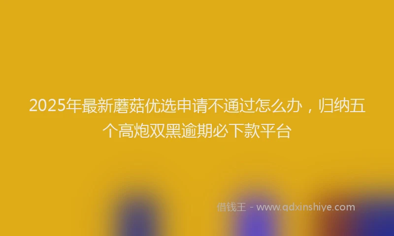 2025年最新蘑菇优选申请不通过怎么办，归纳五个高炮双黑逾期必下款平台