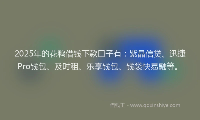 2025年的花鸭借钱下款口子有：紫晶信贷、迅捷Pro钱包、及时租、乐享钱包、钱袋快易融等。