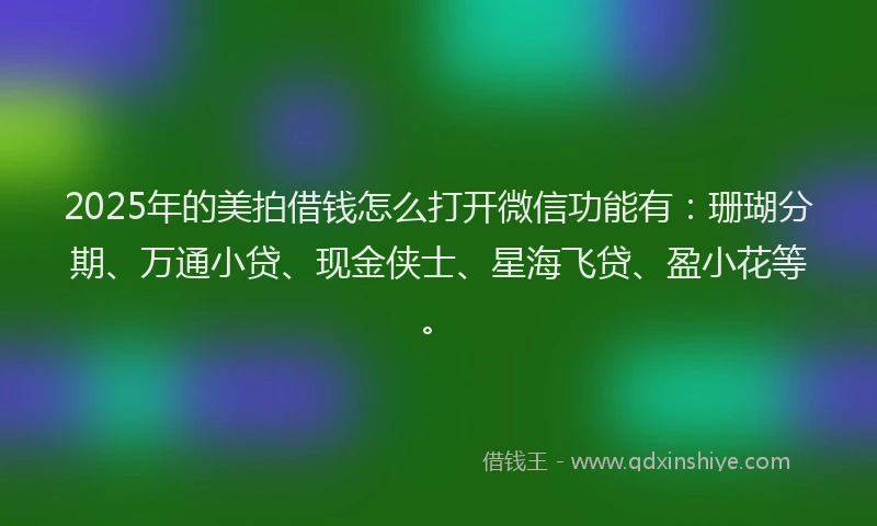 2025年的美拍借钱怎么打开微信功能有：珊瑚分期、万通小贷、现金侠士、星海飞贷、盈小花等。