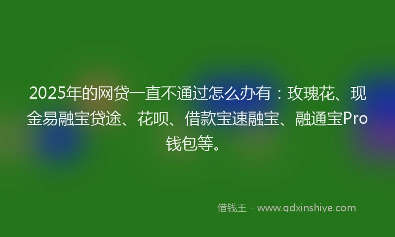 2025年的网贷一直不通过怎么办有:玫瑰花、现金易融宝贷途、花呗、借款宝速融宝、融通宝Pro钱包等。