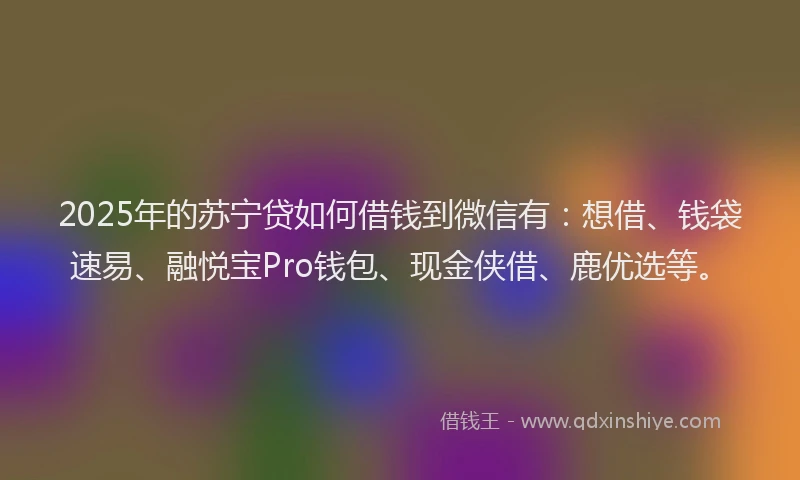 2025年的苏宁贷如何借钱到微信有：想借、钱袋速易、融悦宝Pro钱包、现金侠借、鹿优选等。