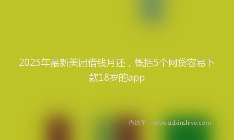 2025年最新美团借钱月还，概括5个网贷容易下款18岁的app