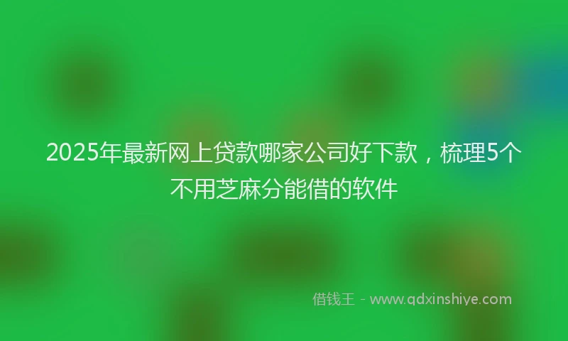 2025年最新网上贷款哪家公司好下款，梳理5个不用芝麻分能借的软件