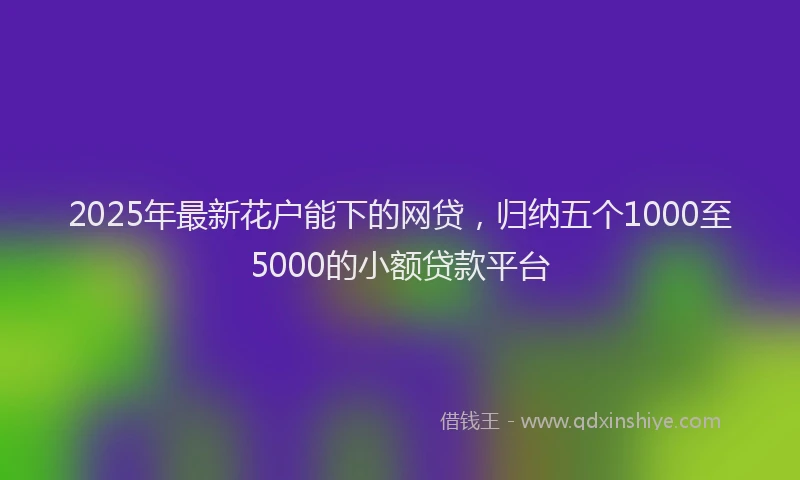 2025年最新花户能下的网贷，归纳五个1000至5000的小额贷款平台