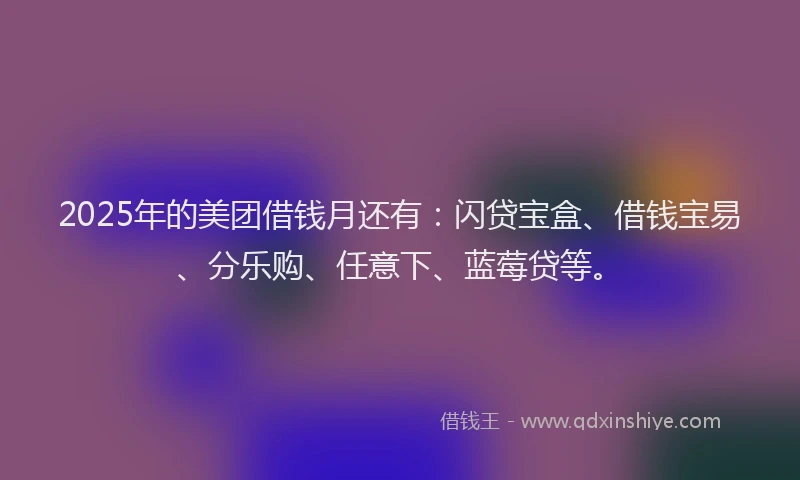 2025年的美团借钱月还有：闪贷宝盒、借钱宝易、分乐购、任意下、蓝莓贷等。