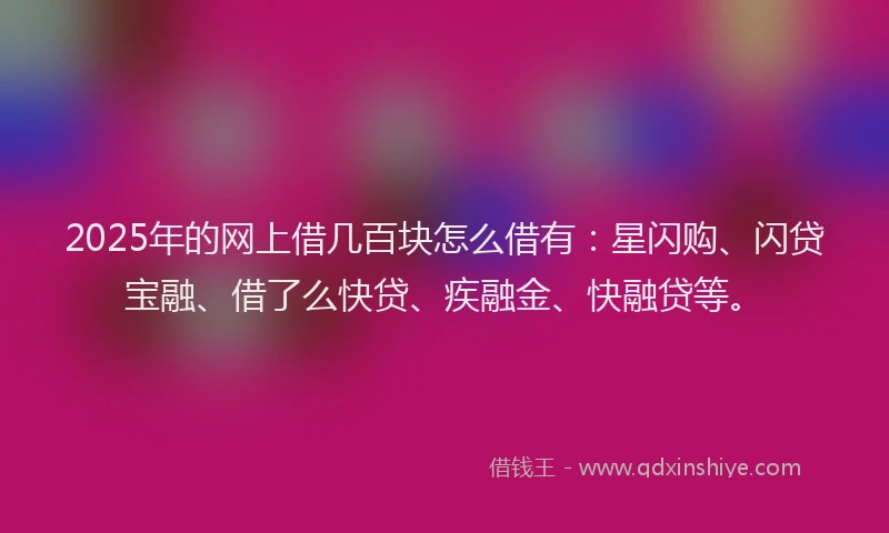 2025年的网上借几百块怎么借有：星闪购、闪贷宝融、借了么快贷、疾融金、快融贷等。
