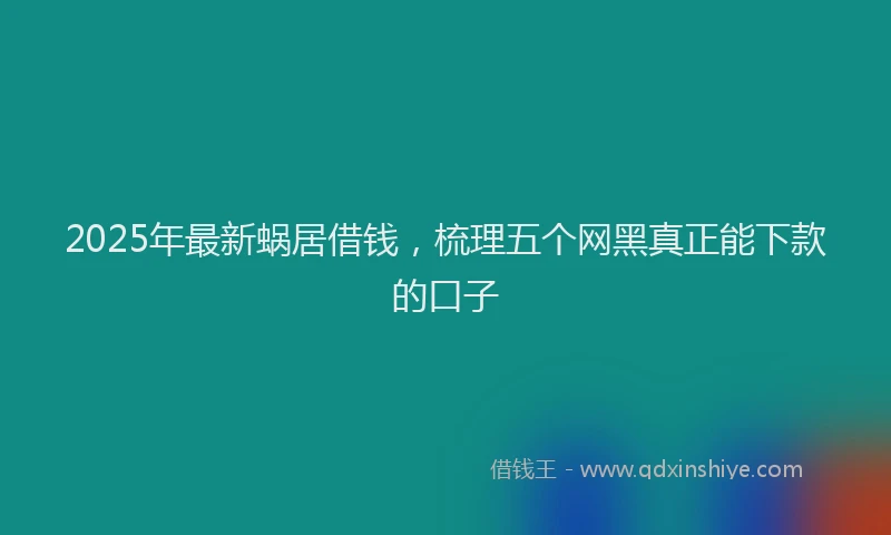 2025年最新蜗居借钱，梳理五个网黑真正能下款的口子